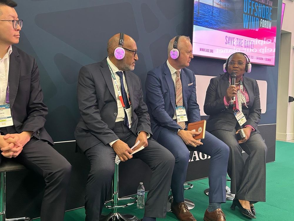 NAPE President Participates as Panelist in Africa’s Exploration Outlook Discussion at EAGE ACE 2026