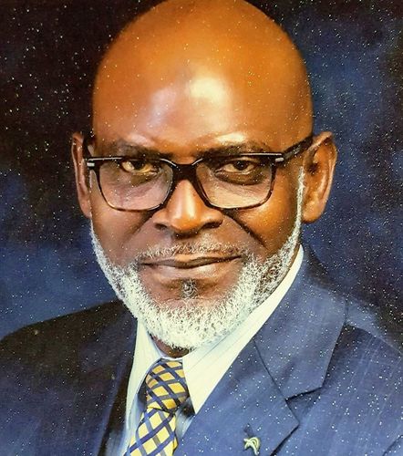 Mr. Babajide Agbabiaka, FNAPE 
