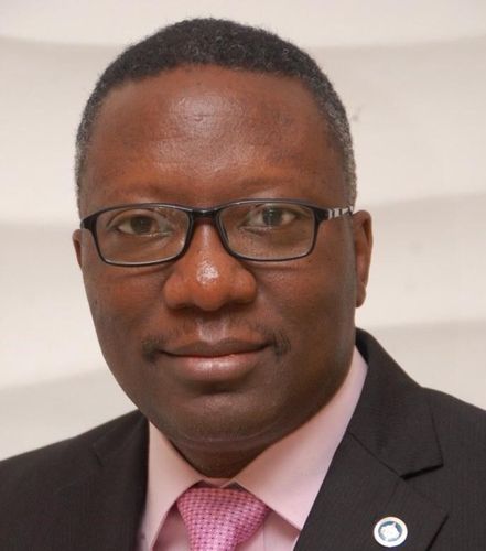 Mr. Femi Esan, FNAPE