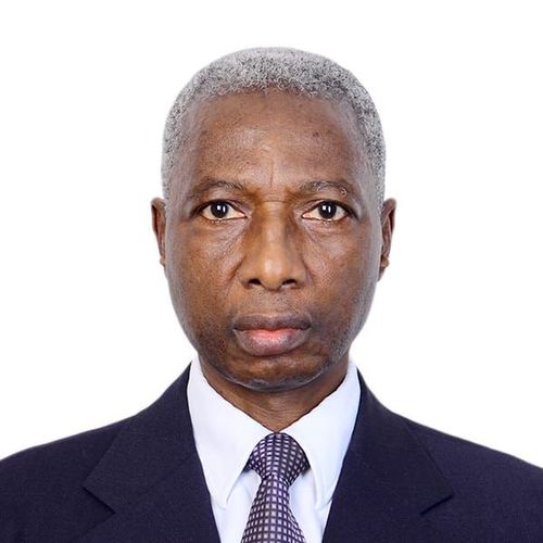 Mr. George Osahon, FNAPE 