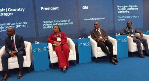NAPE Unveils Roadmap to Build Indigenous Capacity for Offshore Oil Growth